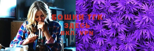 ПСИЛОЦИБИНОВЫЕ ГРИБЫ Верхний Тагил